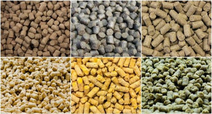 Animal feed supplement products