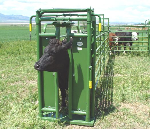 cattle headgate