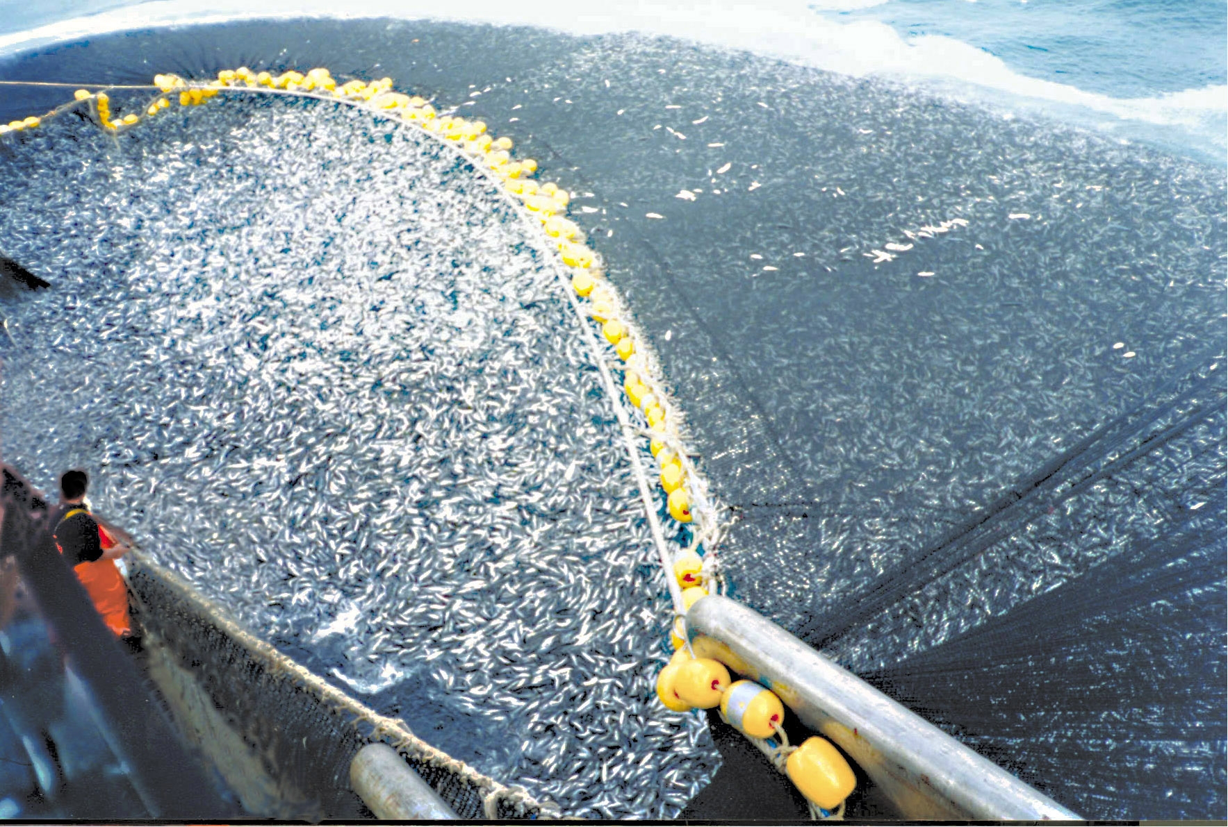 Overfishing in fish farming