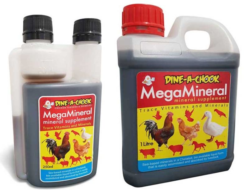 Vitamin and Mineral Supplements