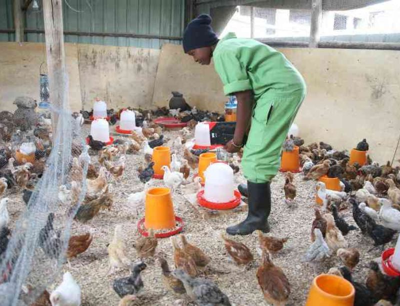 Prevention and control of diseases