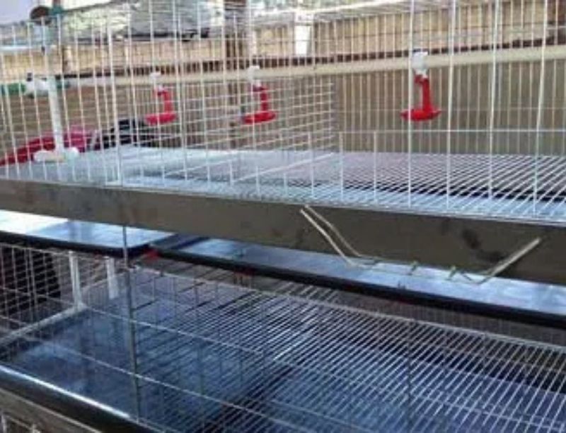 Poultry Cage